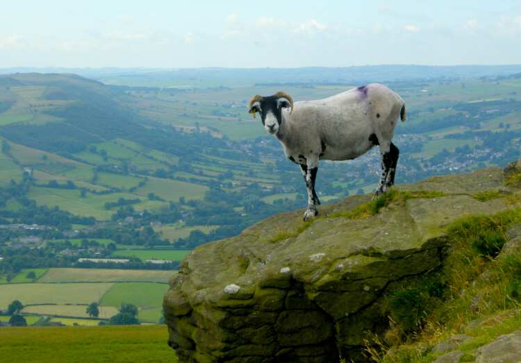 Yorkshire Dales Twin Centre walking holiday map