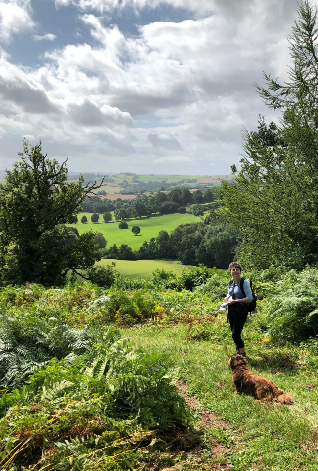 Views over Monmouthshire