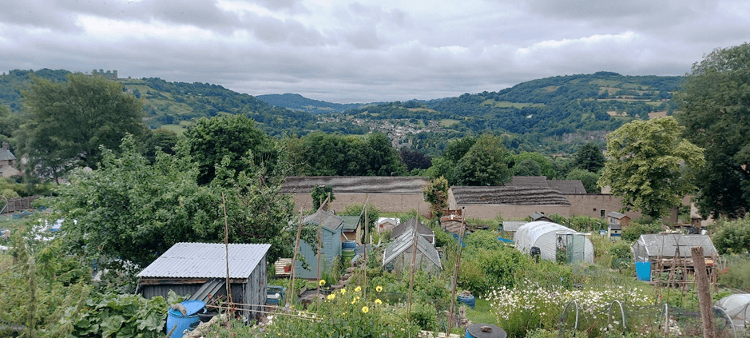 Views over the allotments outside Matlock.