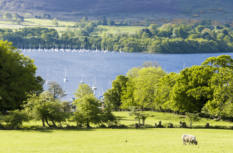 views-over-ullswater.png