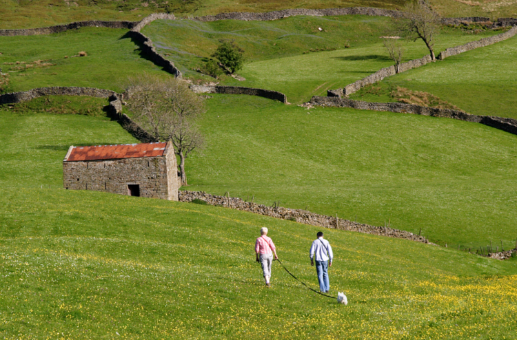 Walking the Herriot Way through Yorkshire