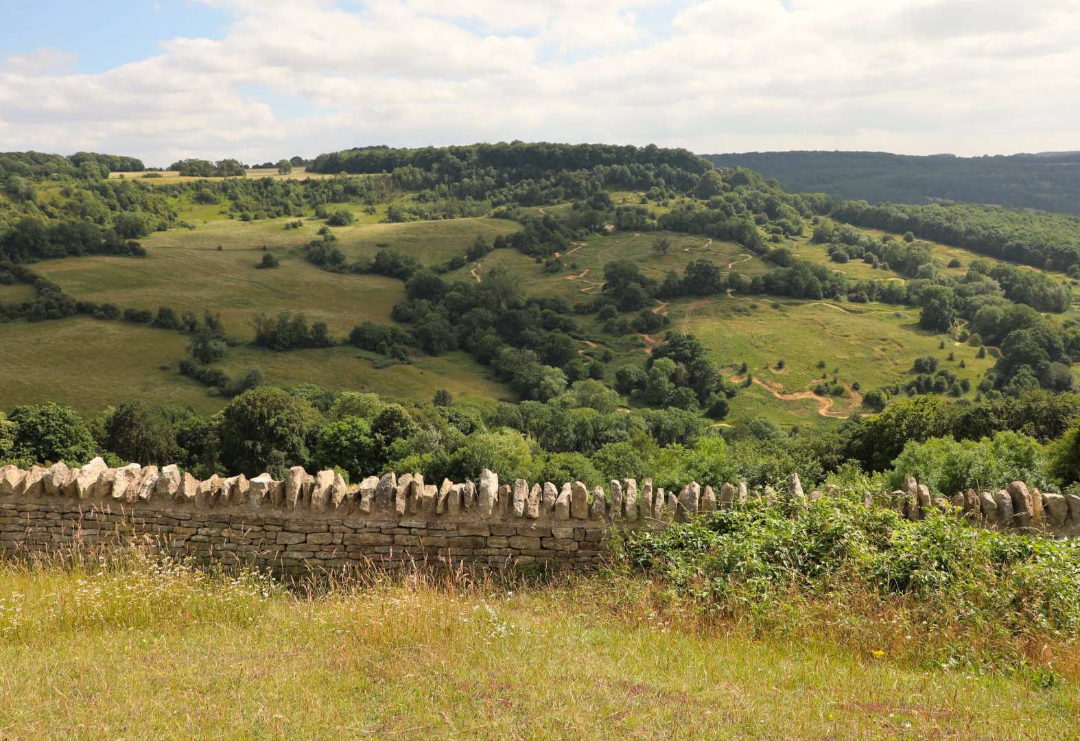 Views on a walking holiday in the Cotswolds, peering over a drystone wall to lush green fields hemmed with hedgerows and deciduous trees.