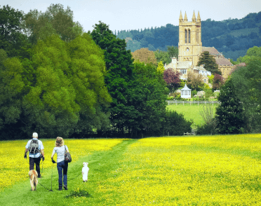 Two walkers with two large dogs on leads cross a field in the Cotswolds on a walk towards Broadway, with its distinctive church spire in view.
