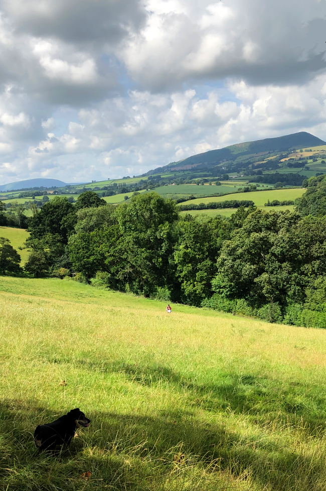 Walking to Grosmont on the Three Castles Walk