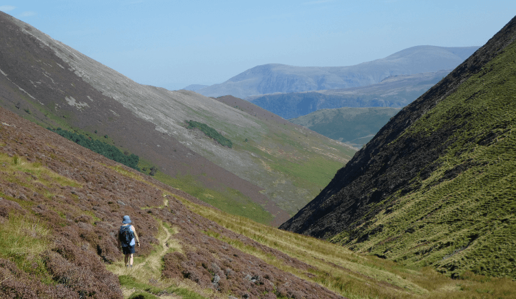 A walker on the Old Tourist Route heads toward Newlands Valley on a narrow pathway between steep-sided fells.