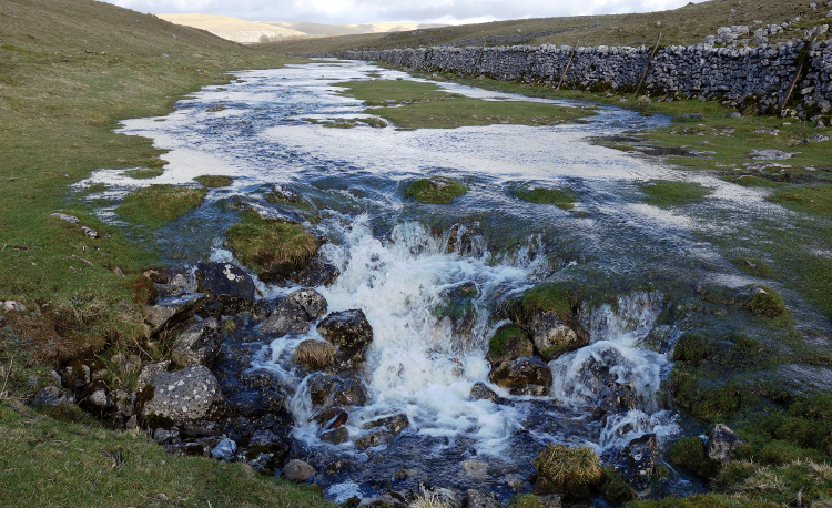 Three Dales Way: Water Sinks