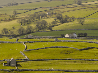 Views down over the patchwork fields of Wharfedale.