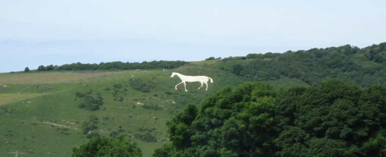 white-horse.png