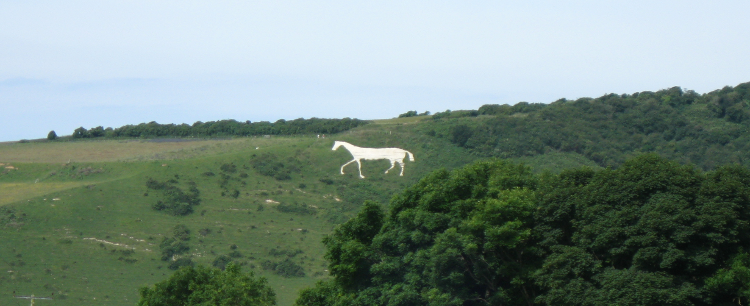 The White Horse