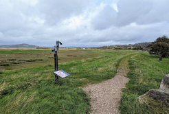 A plaque depicting local wildlife stands beside a sandy trail through green fields.