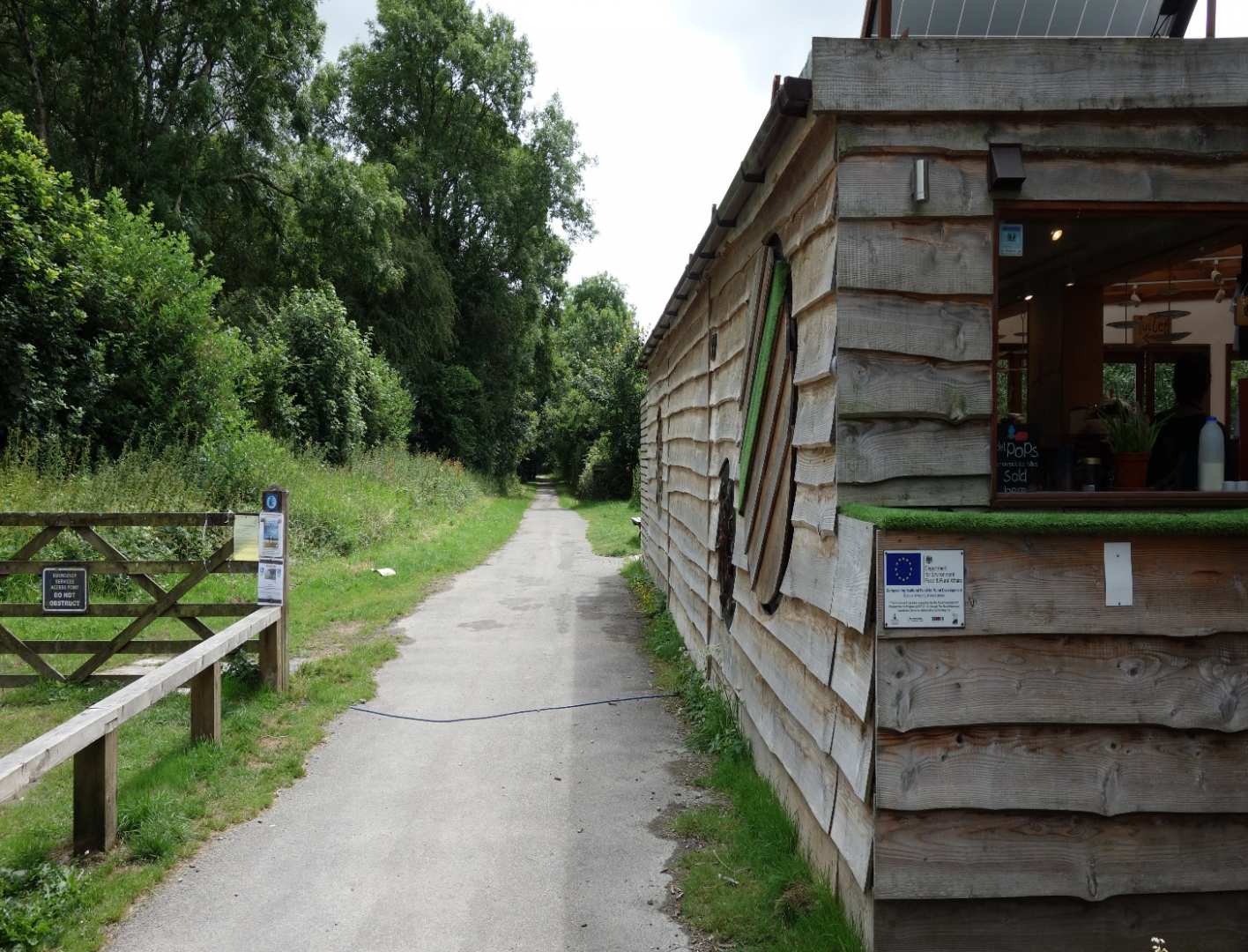 A woodland path on the Camel Trail