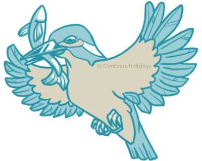 Art of a kingfisher, an elusive bird that might be found on the Wye Valley Walk.