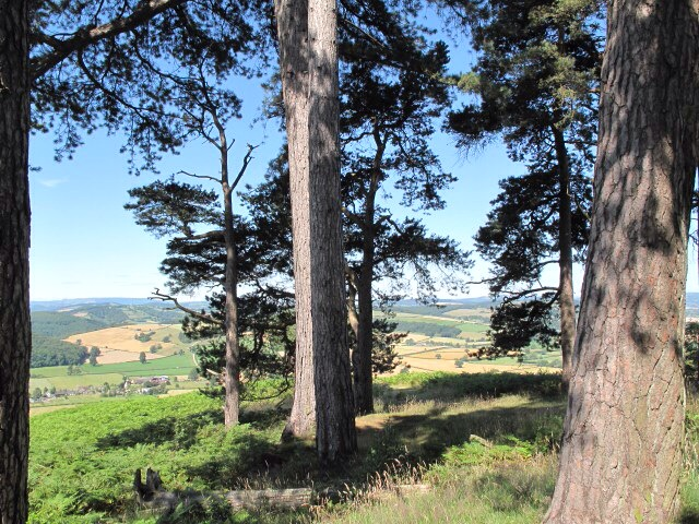 Countryside views through the trees at Yatton Hill Fort