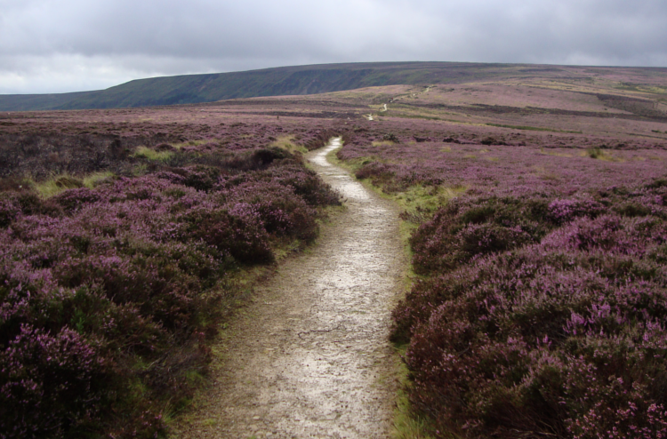 Yorkshire Moors