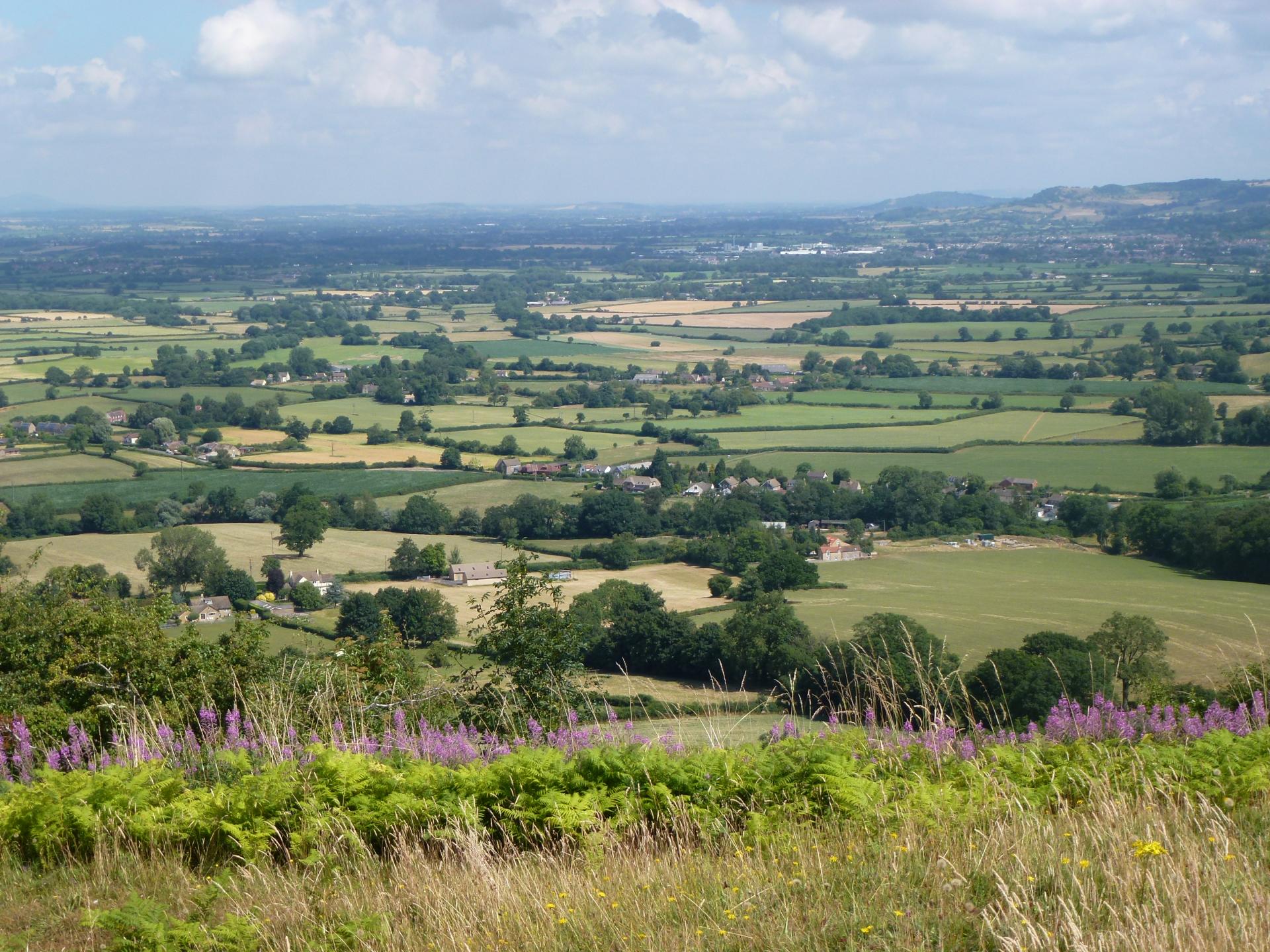 Walking the Cotswold Way National Trail — Contours Walking Holidays