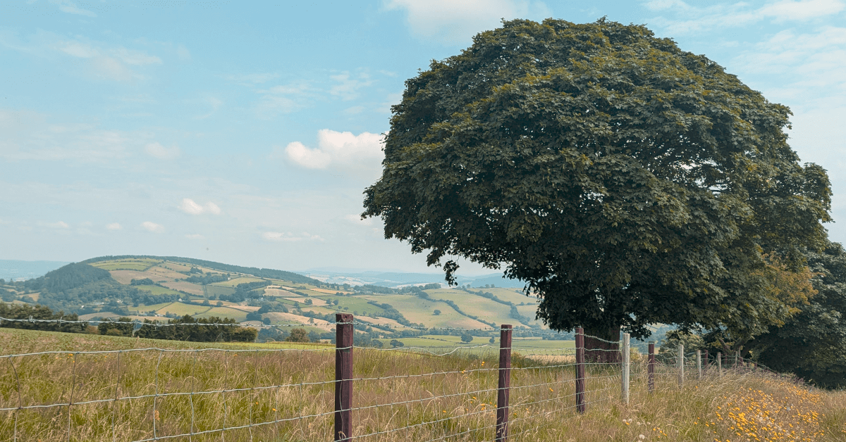 A Summer Walk in Shropshire — Contours Walking Holidays