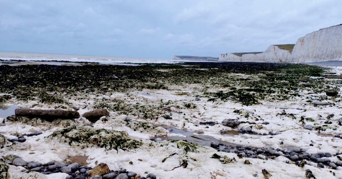 Image for Eastbourne and Seven Sisters