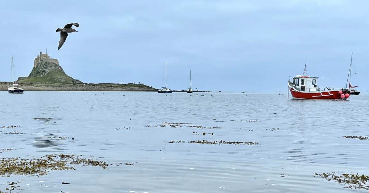 Northumberland's Coast and Castles