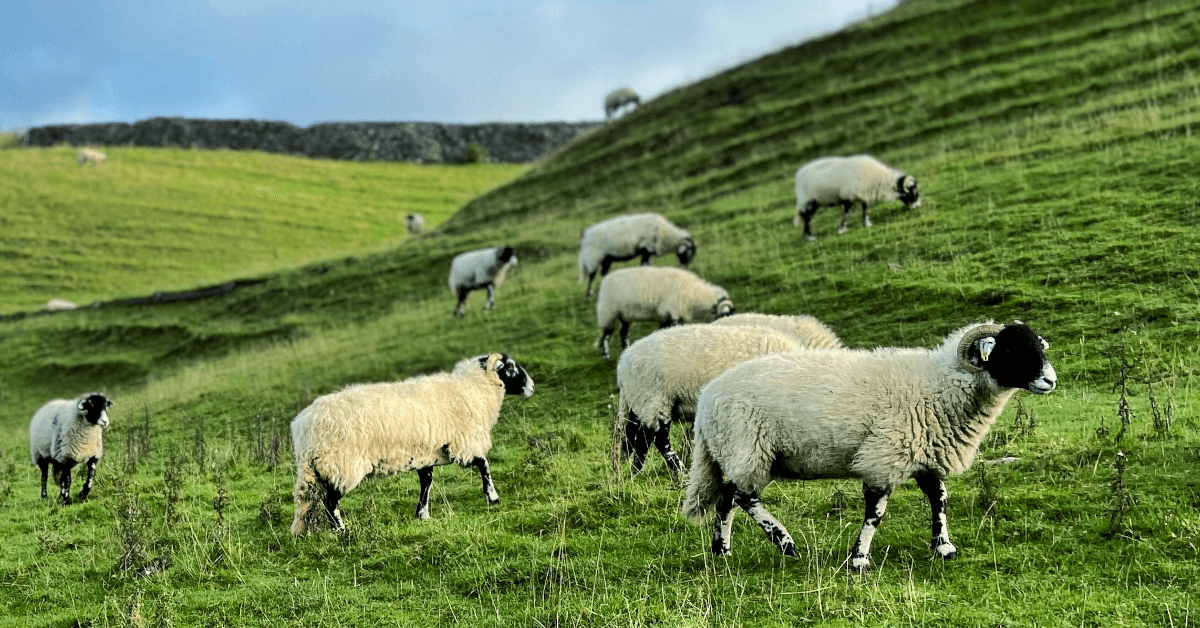 Exploring the Pennine Way