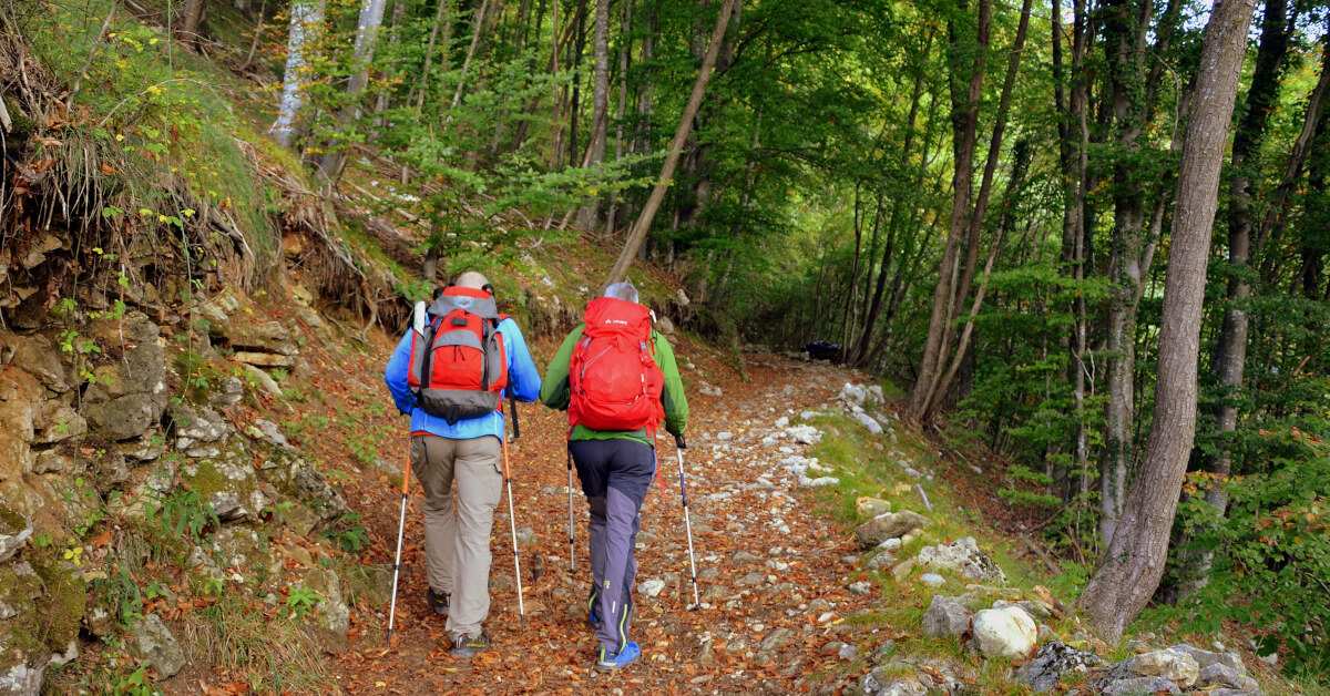 Why Autumn is the Best Time to Hike