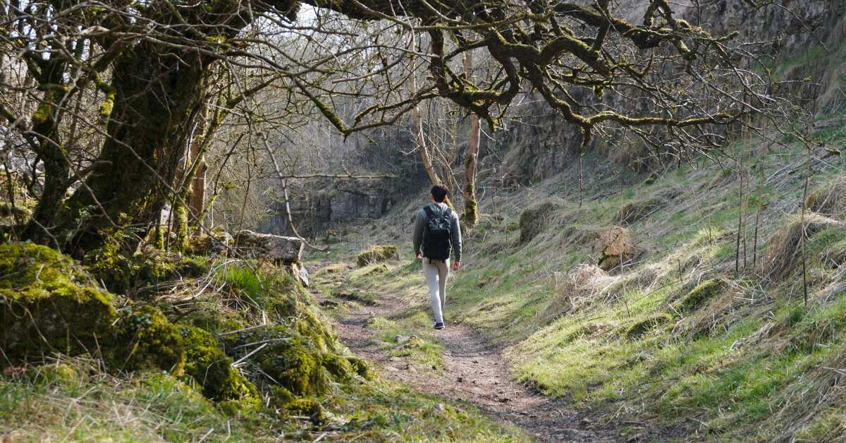 A hiker walks mindfully along a path through a wooded area.