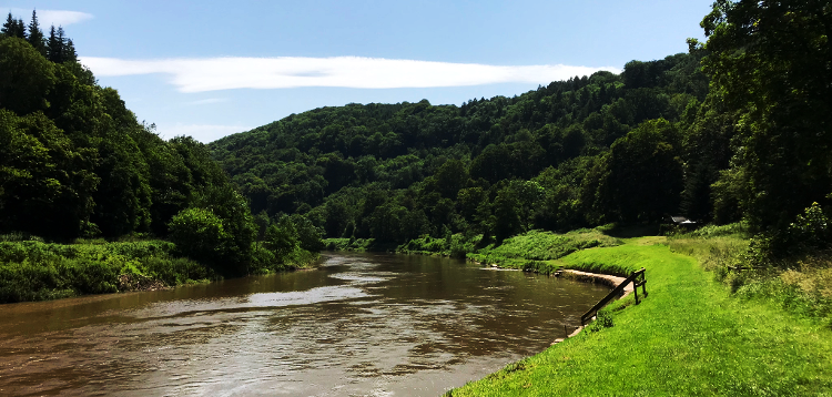 Walking the Wye Valley Short Break
