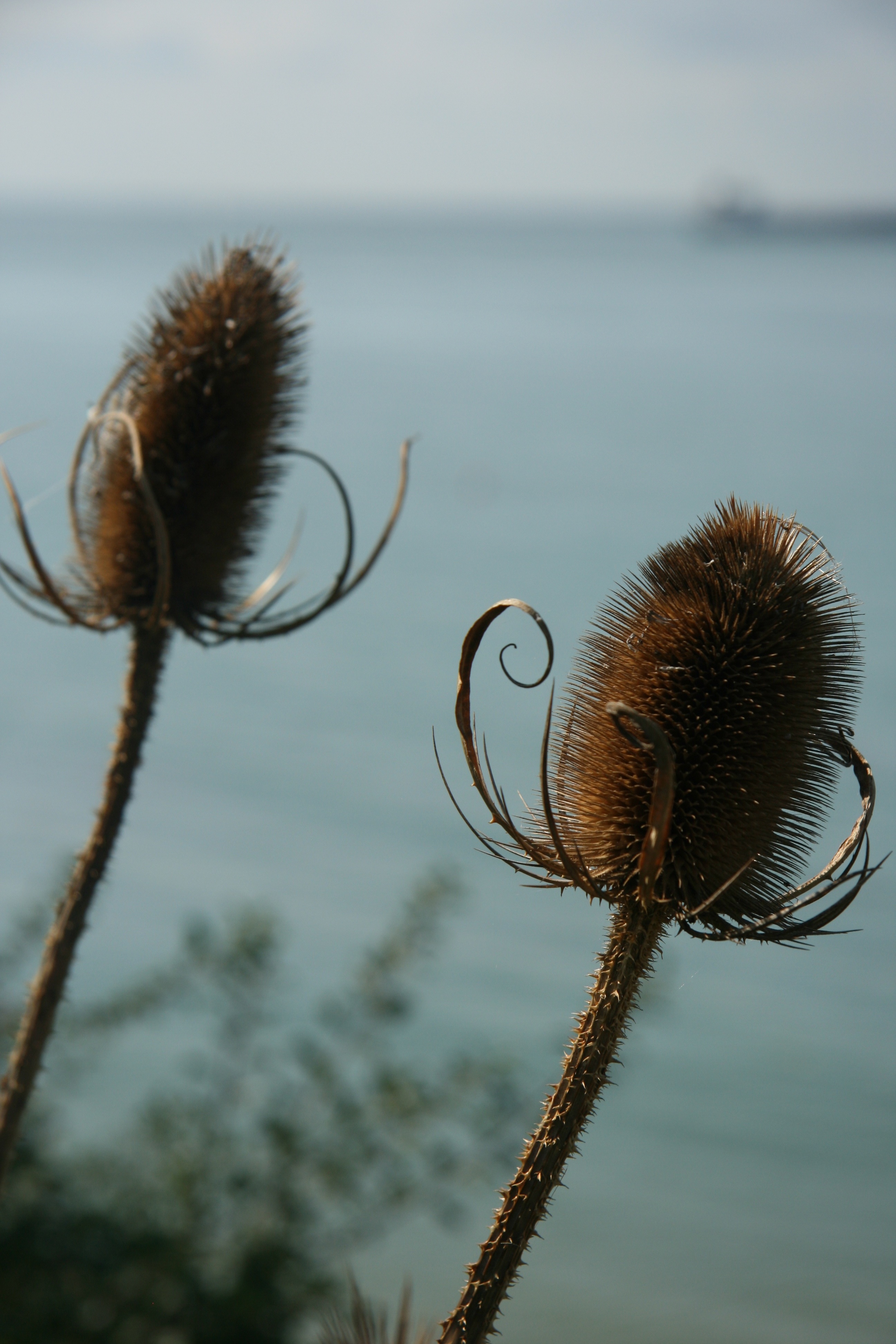 Gurnard Ledge on the Isle of Wight - Jane Fielding