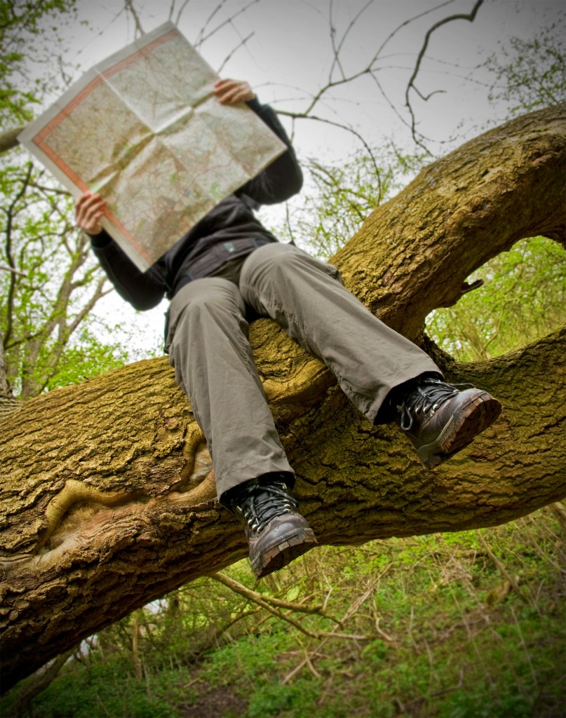 Map reading
