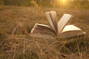 Coleridge Way Literature