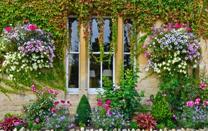 Colourful Cotswold Cottages