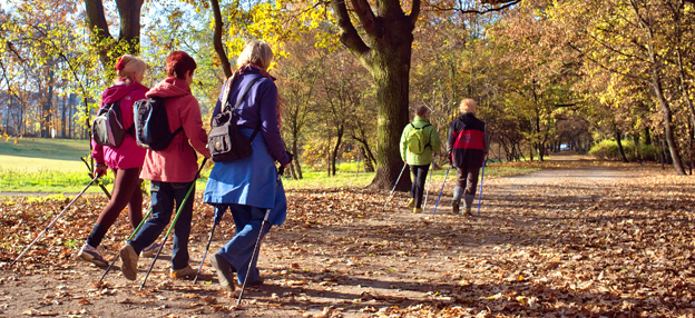 A group of walkers talk as they wander along an easy walking trail.