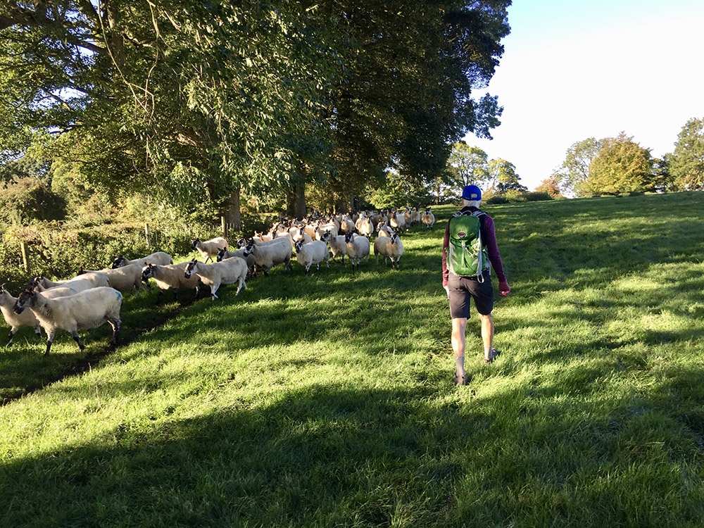Cotswold Way - Self-Guided Walking Holidays — Contours 