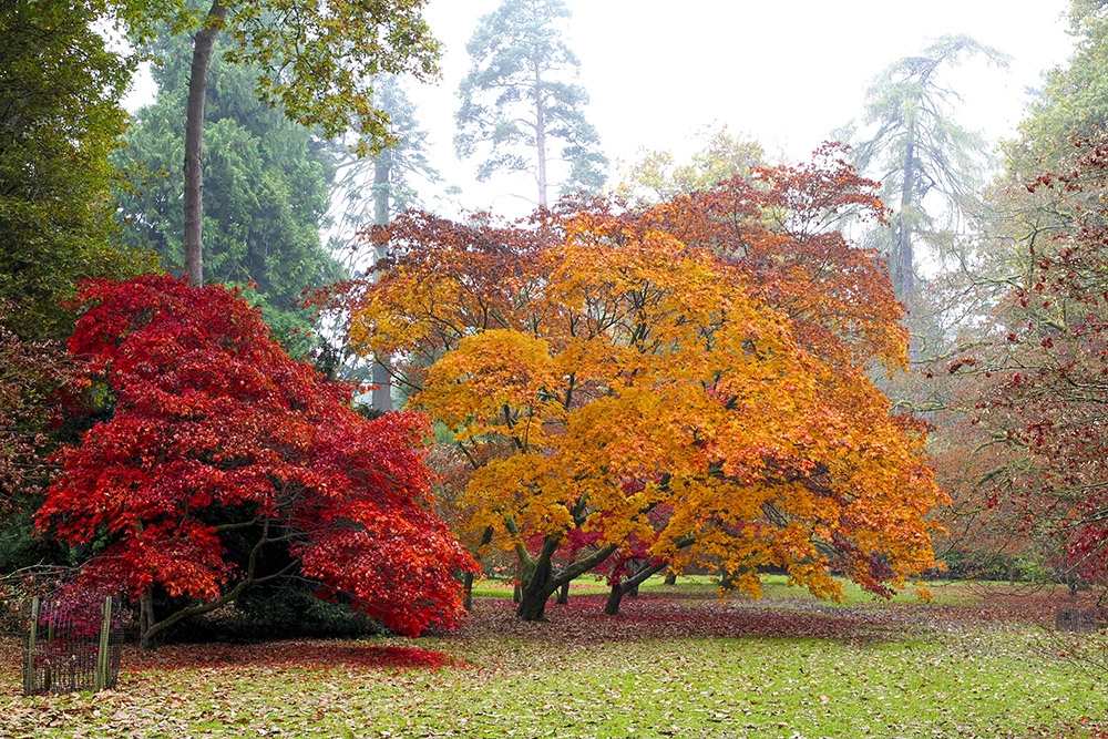 Cross-Cotswold Path - Self-Guided Walking Holidays 