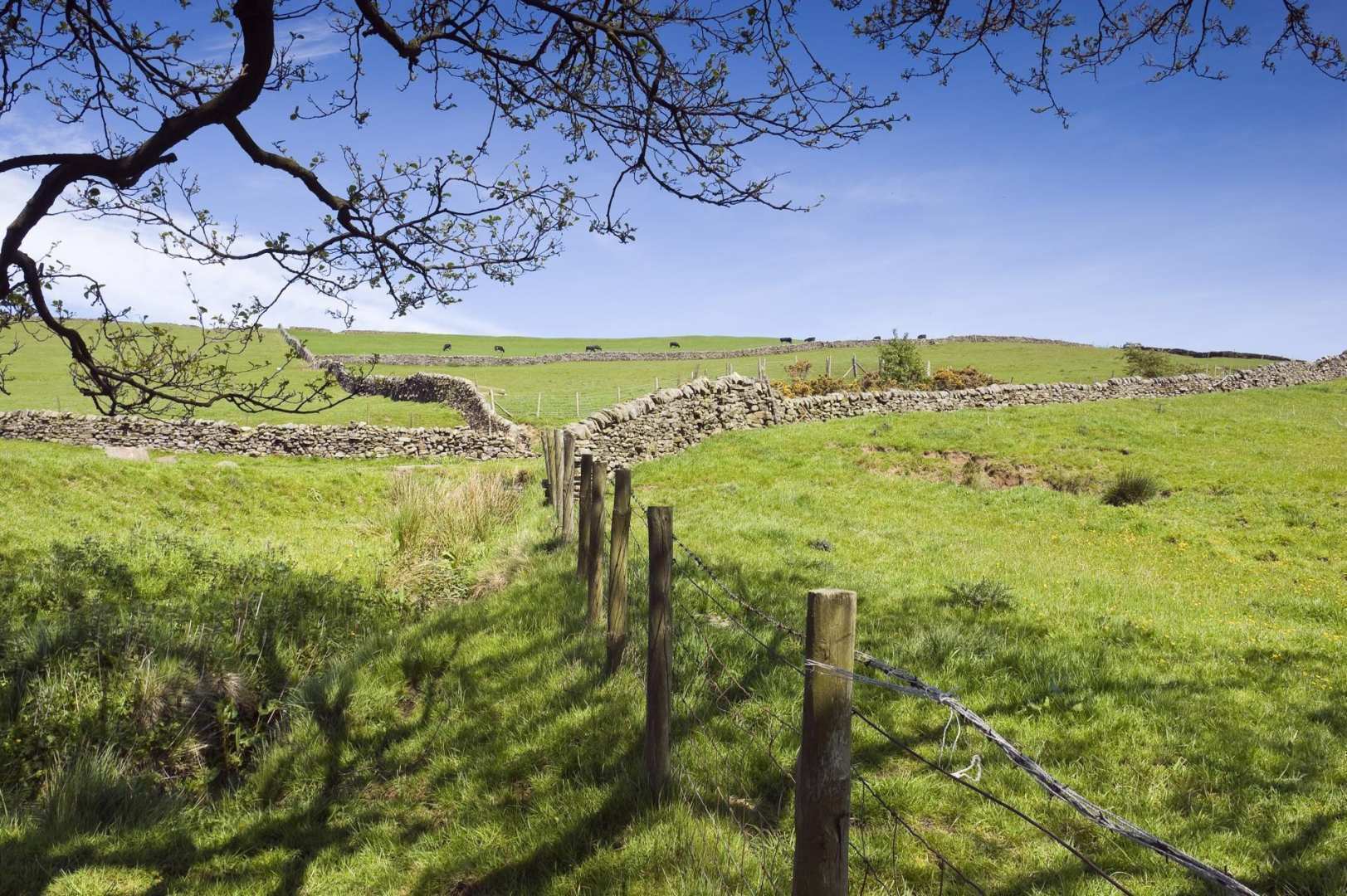 Walking in the North of England — Contours Walking Holidays