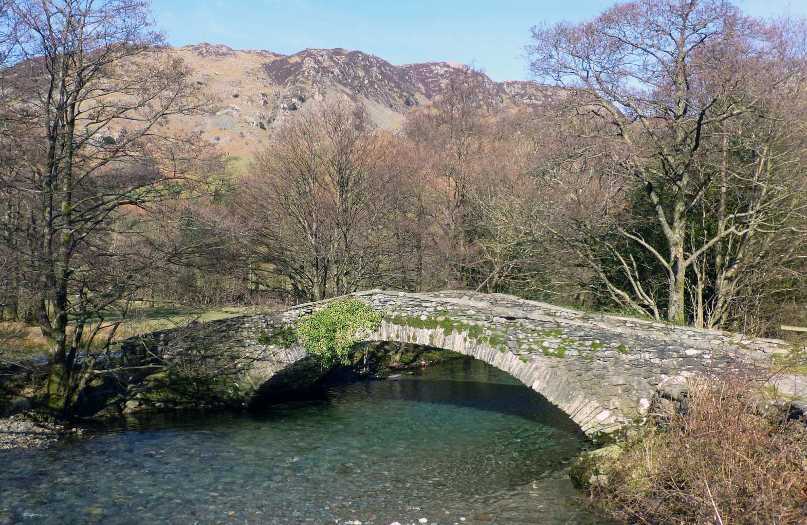 Dog Friendly Walks Rosthwaite Dog Friendly Walks Rosthwaite