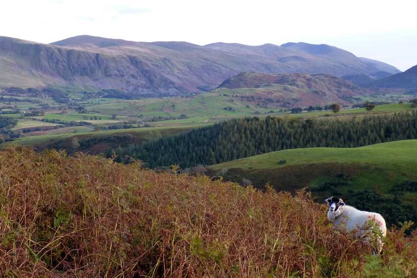 Easy Dog Walks Lake District Easy Dog Walks Lake District