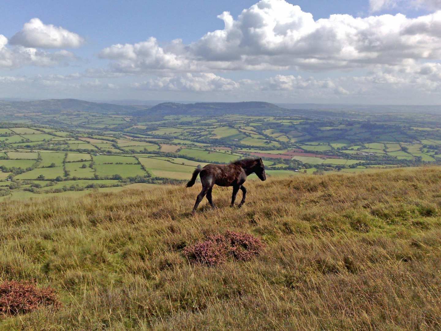 Offa's Dyke Path