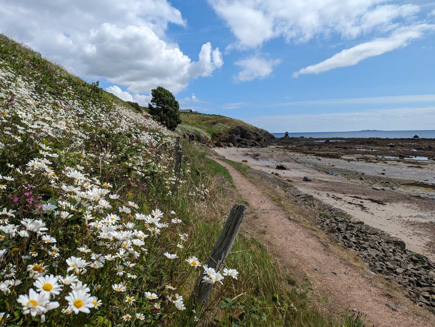 Fife Coastal Path Contours Walking Holidays