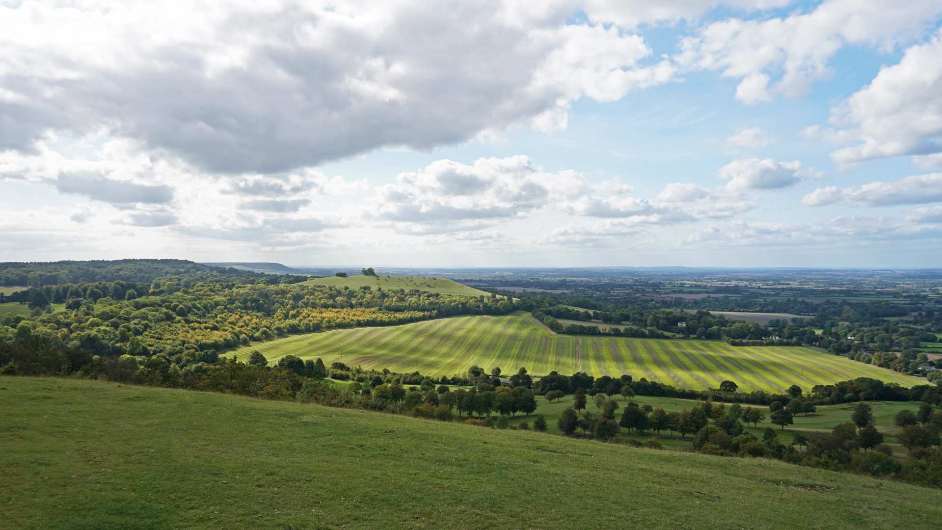 View on Coombe Hill - View on Coombe Hill