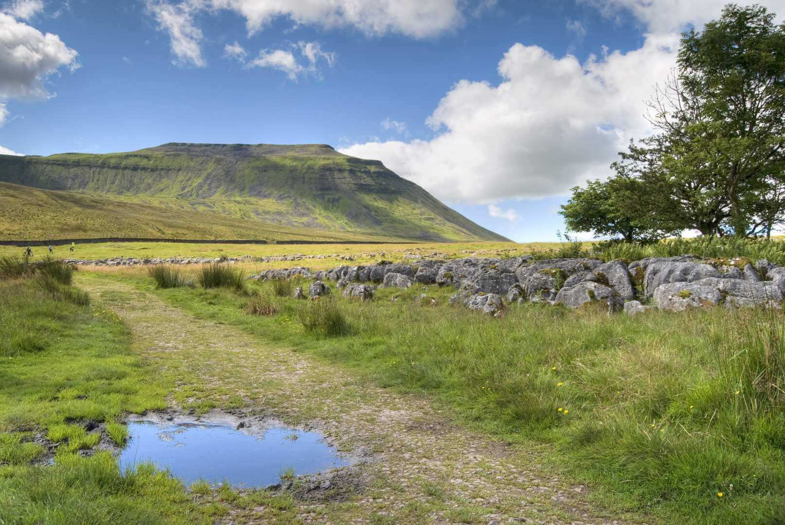 Dales High Way